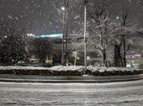 雪景色