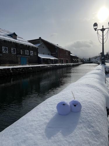 事務所の中の人in北海道