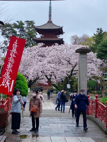 中山法華経寺✨