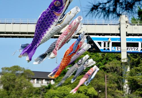 千葉公園の鯉のぼり