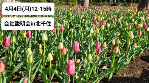 4月4日(月)12-15時出張会社説明会in北千住