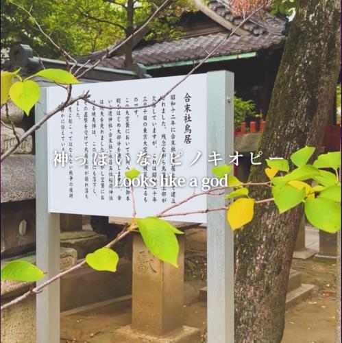 深川神社巡り神っぽいな