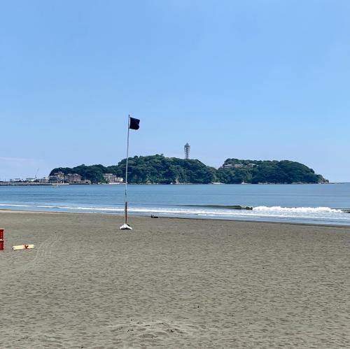 酷暑の夏が始まっています。