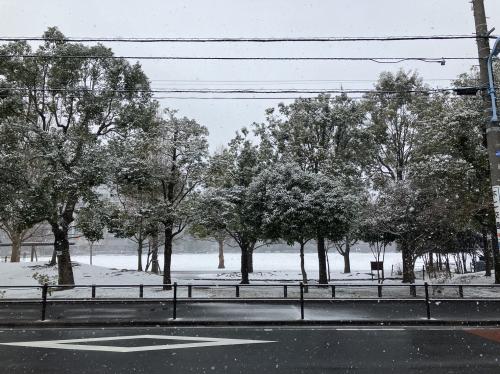 大雪警報でてます｜タクシー求人杉並区