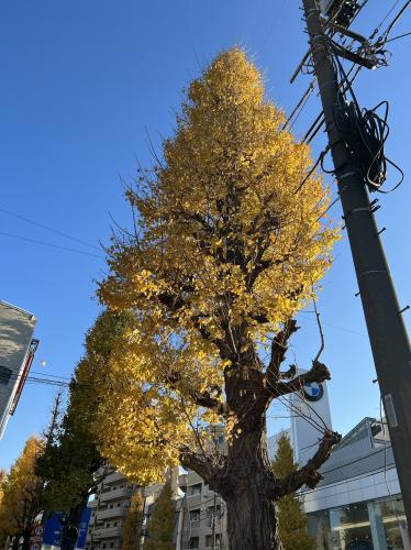 新年明けましておめでとうございます！！