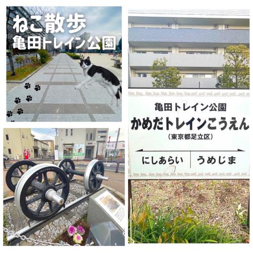 【ねこ散歩】電車好き必見！亀田トレイン公園！