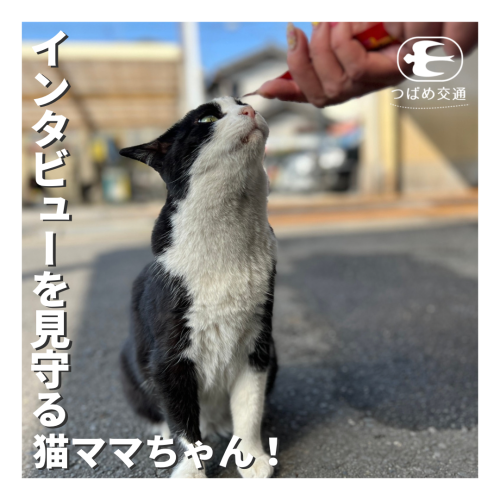 インタビューを見守る猫ママちゃん