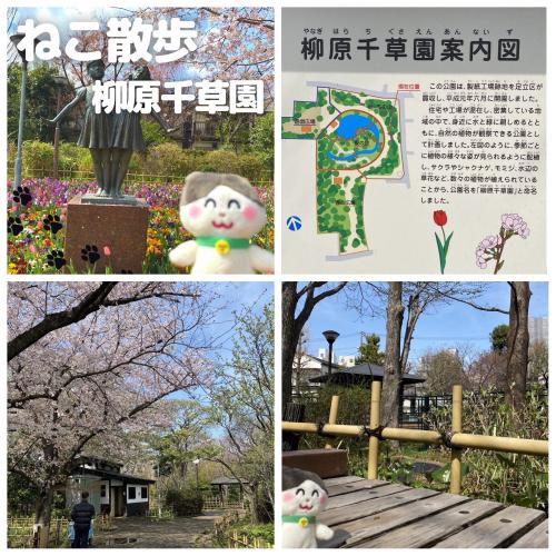 【ねこ散歩】四季折々の公園♪