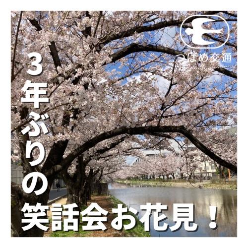 ３年ぶりの笑話会お花見！