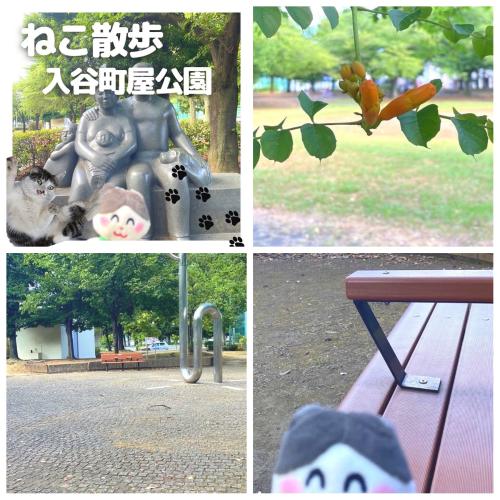 【ねこ散歩】公園でノスタルジックな気分に…♪