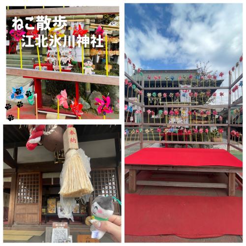 【ねこ散歩】江北氷川神社