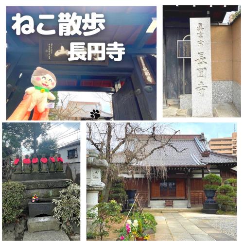 【ねこ散歩】楽しいイベント沢山のお寺♪