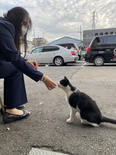 つばめ交通の猫ちゃん成長記録（*^_^*）♪