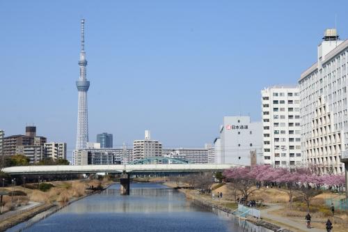 下町のハゼ釣りが絶好シーズン