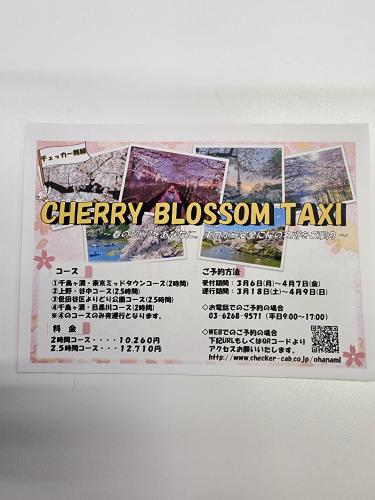 チェッカーグループでは、都内の桜ツアーの運行もしています。