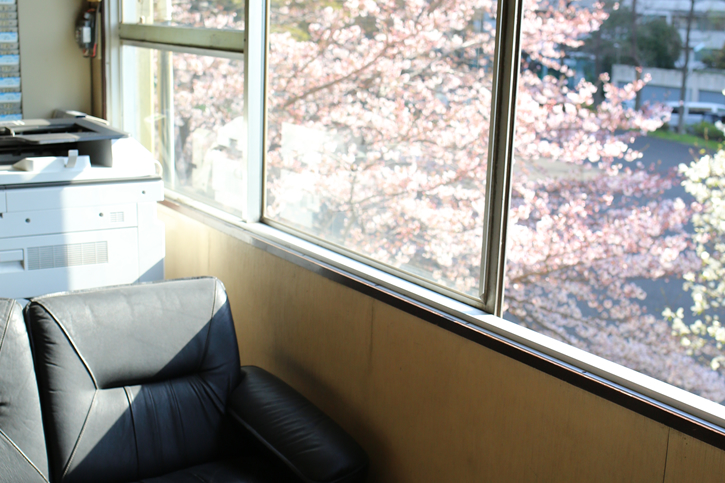 待合室からは桜が綺麗です。