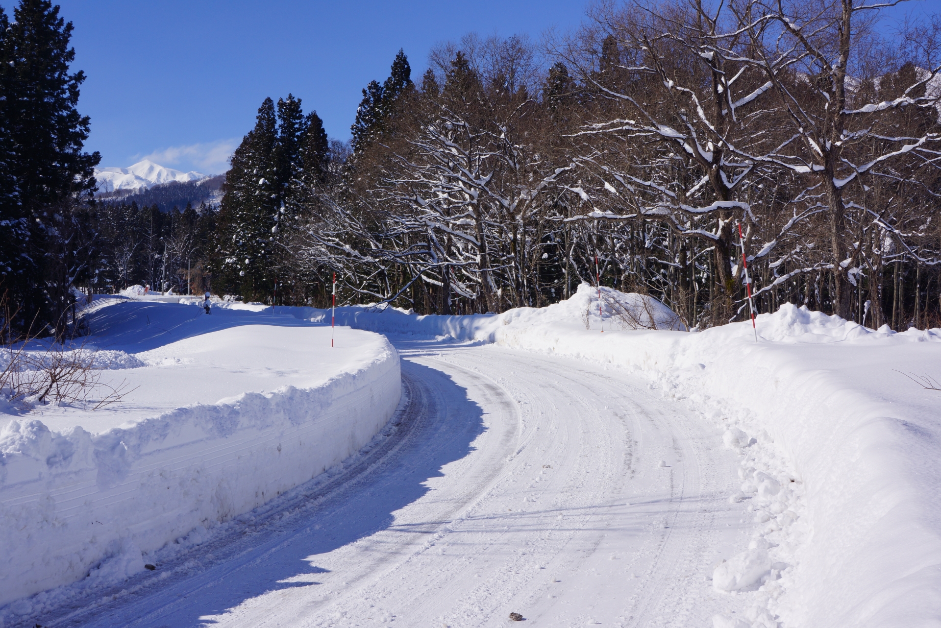 雪道運転は危険がいっぱい！？雪の日にタクシー運転手が気を付けること