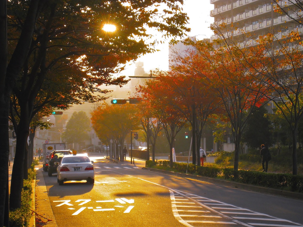 タクシーの路上駐車を無くす取り組み｜ショットガンシステムについて