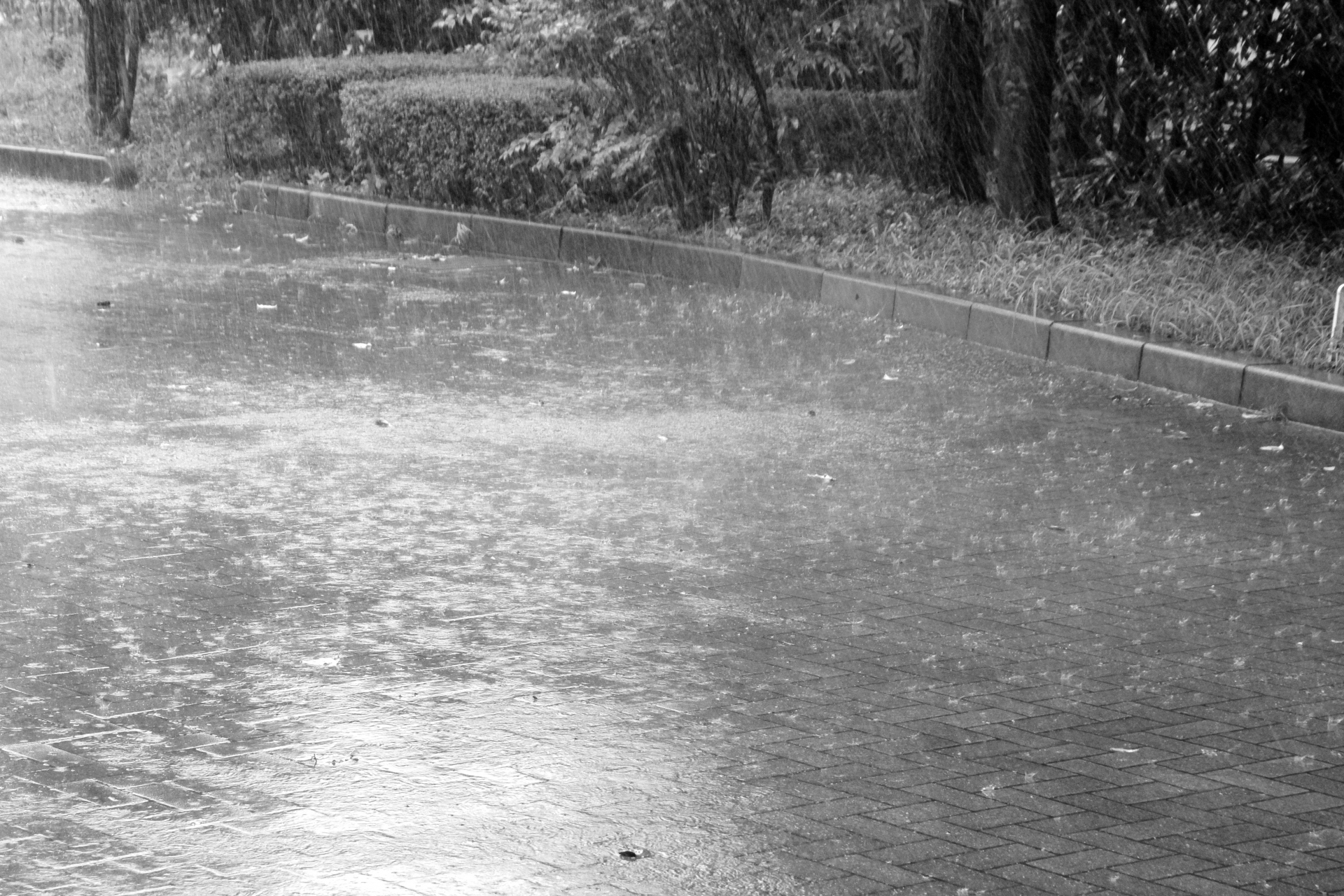 タクシー運転手は梅雨時に要注意！雨の日に事故が増える原因と対策