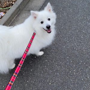 情報ツー・ワン