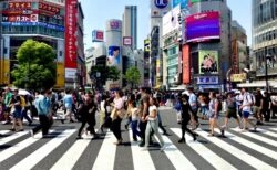タクシー営業に影響あり！オーバーツーリズム・中国の大型連休が“稼ぎ”を左右する？
